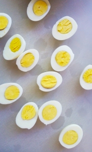 egg halves